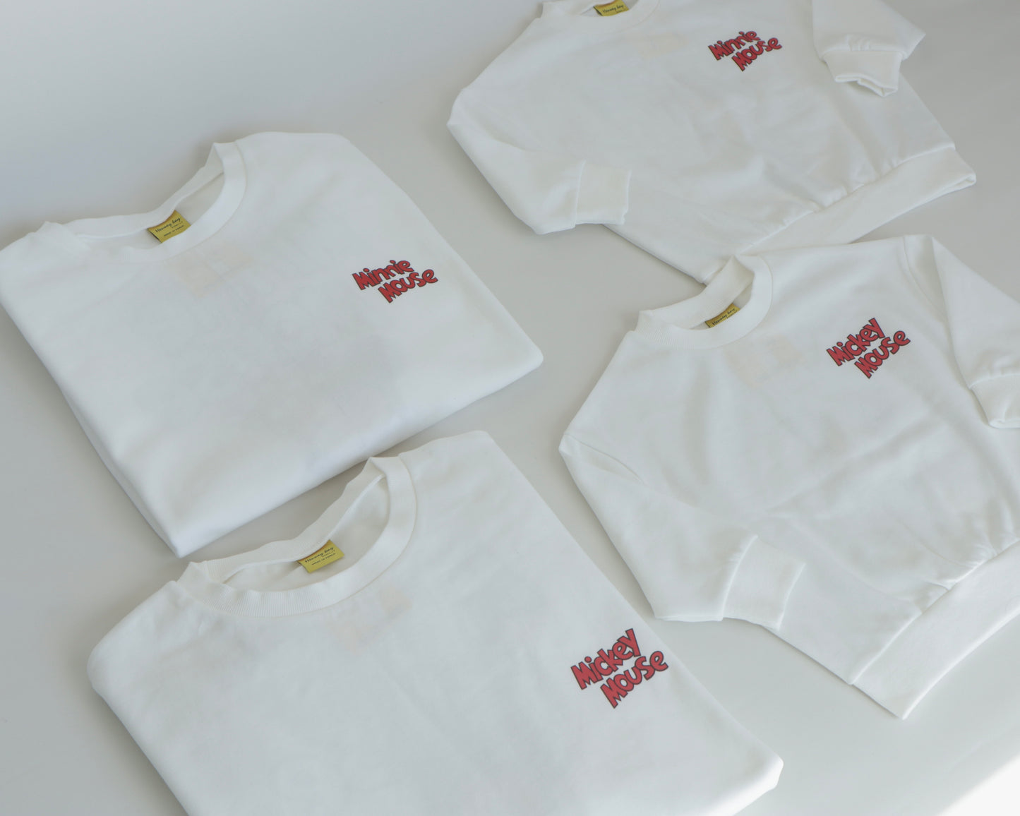 MICKEY/MINNIE FAMILY SET